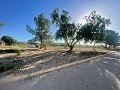 Land in Ubeda in Spanish Fincas