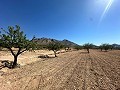 Prachtig bouwkavel in Macisvenda in Spanish Fincas