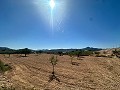 Prachtig bouwkavel in Macisvenda in Spanish Fincas