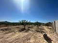 Schönes Baugrundstück in Macisvenda in Spanish Fincas