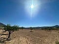 Prachtig bouwkavel in Macisvenda in Spanish Fincas