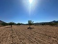 Prachtig bouwkavel in Macisvenda in Spanish Fincas