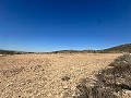 Magnifique terrain à bâtir à Cañada Del Trigo in Spanish Fincas