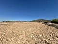 Magnifique terrain à bâtir à Cañada Del Trigo in Spanish Fincas