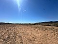 Magnifique terrain à bâtir à Cañada Del Trigo in Spanish Fincas