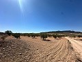 Magnifique terrain à bâtir à Cañada Del Trigo in Spanish Fincas