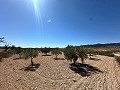 Preciosa parcela para constuir en Cañada Del Trigo in Spanish Fincas