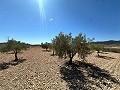 Fantastisches Baugrundstück in Cañada Del Trigo in Spanish Fincas