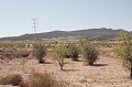 Finca met 4 slaapkamers in Torre de Rico in Spanish Fincas