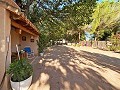 Maison de campagne de 4 chambres à 4 min de Pinoso in Spanish Fincas