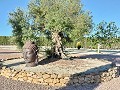 Villa avec des vues incroyables dans un petit village à quelques minutes de Pinoso in Spanish Fincas