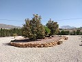 Villa mit unglaublicher Aussicht in einem kleinen Dorf nur wenige Minuten von Pinoso entfernt in Spanish Fincas