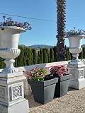 Villa mit unglaublicher Aussicht in einem kleinen Dorf nur wenige Minuten von Pinoso entfernt in Spanish Fincas