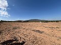 Gran Parcela de Terreno con Olivos in Spanish Fincas