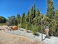 Grande maison dans un village proche de Pinoso et Monovar in Spanish Fincas