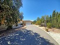 Grande maison dans un village proche de Pinoso et Monovar in Spanish Fincas