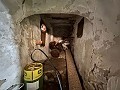 Massive town house in teresa de conferentes in Spanish Fincas