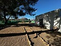 Villa mit Gästeanbau und Swimmingpool in Villena in Spanish Fincas