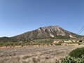 Villa avec 3 chambres, grande piscine et cuisine d'été in Spanish Fincas