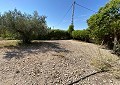 Villa en Salinas con piscina privada y terreno con olivos in Spanish Fincas