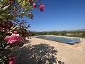 Tranquil 3 Bedroom Villa Pinoso in Spanish Fincas