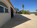 Tranquil 3 Bedroom Villa Pinoso in Spanish Fincas