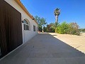 Tranquil 3 Bedroom Villa Pinoso in Spanish Fincas