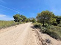 Maison de Campagne à Jumilla, Murcie in Spanish Fincas