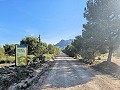 Landhaus in Jumilla, Murcia in Spanish Fincas