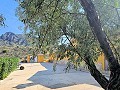 Country House in Jumilla, Murcia in Spanish Fincas