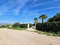 Landhuis in Jumilla, Murcia in Spanish Fincas