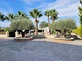 Wunderschöne alte Bodega, die in ein einzigartiges Anwesen mit der Möglichkeit eines B&B oder einer Casa Rural umgewandelt wurde. in Spanish Fincas