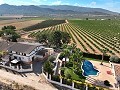 Wunderschöne alte Bodega, die in ein einzigartiges Anwesen mit der Möglichkeit eines B&B oder einer Casa Rural umgewandelt wurde. in Spanish Fincas