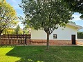 Beautiful old bodega converted into a unique estate with the possibility of a B&B or casa rural in Spanish Fincas