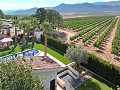 Wunderschöne alte Bodega, die in ein einzigartiges Anwesen mit der Möglichkeit eines B&B oder einer Casa Rural umgewandelt wurde. in Spanish Fincas