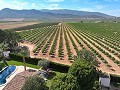 Wunderschöne alte Bodega, die in ein einzigartiges Anwesen mit der Möglichkeit eines B&B oder einer Casa Rural umgewandelt wurde. in Spanish Fincas