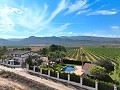 Wunderschöne alte Bodega, die in ein einzigartiges Anwesen mit der Möglichkeit eines B&B oder einer Casa Rural umgewandelt wurde. in Spanish Fincas