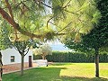 Wunderschöne alte Bodega, die in ein einzigartiges Anwesen mit der Möglichkeit eines B&B oder einer Casa Rural umgewandelt wurde. in Spanish Fincas