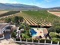 Wunderschöne alte Bodega, die in ein einzigartiges Anwesen mit der Möglichkeit eines B&B oder einer Casa Rural umgewandelt wurde. in Spanish Fincas