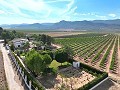 Wunderschöne alte Bodega, die in ein einzigartiges Anwesen mit der Möglichkeit eines B&B oder einer Casa Rural umgewandelt wurde. in Spanish Fincas