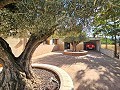 Belle ancienne bodega transformée en domaine unique avec possibilité de B&B ou casa rural. in Spanish Fincas