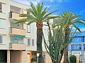 2 Bedroom Apartment in Javea in Spanish Fincas