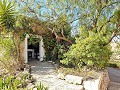 Wunderschönes Landhaus mit B&B – Casa Rural-Genehmigung in Canada del Trigo! in Spanish Fincas