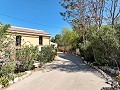 Wunderschönes Landhaus mit B&B – Casa Rural-Genehmigung in Canada del Trigo! in Spanish Fincas