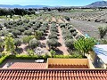 Villa with beautiful views in Caudete in Spanish Fincas