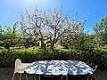 Villa mit wunderschöner Aussicht in Caudete in Spanish Fincas