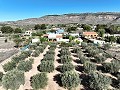 Villa avec de belles vues à Caudete in Spanish Fincas