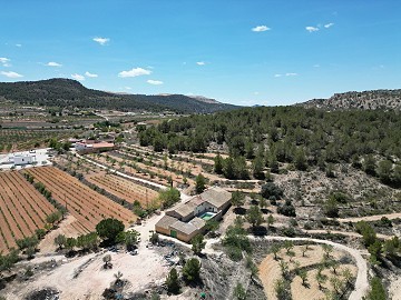 Unieke Spaanse Finca met uitstekend potentieel in Pinoso