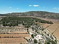 Einzigartige spanische Finca mit hervorragendem Potenzial in Pinoso in Spanish Fincas