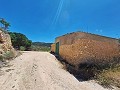 Unique Spanish Finca with excellent potential in Pinoso in Spanish Fincas